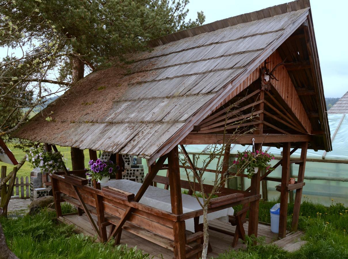 Casa Florea Poiana Stampei Exterior foto